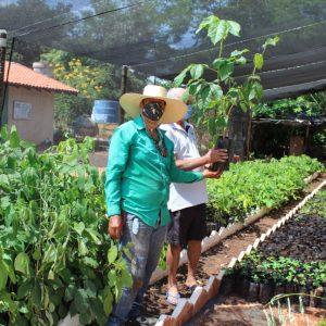 Viveiro Municipal disponibiliza mudas gratuitas e orientações sobre o uso correto da compostagem (12) Viveiro Municipal disponibiliza mudas gratuitas e orientações sobre o uso correto da compostagem (12)