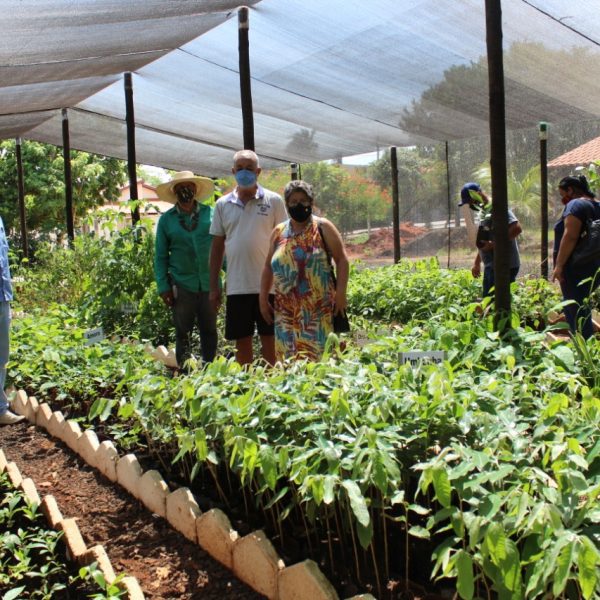 Viveiro Municipal disponibiliza mudas gratuitas e orientações sobre o uso correto da compostagem (2) Viveiro Municipal disponibiliza mudas gratuitas e orientações sobre o uso correto da compostagem (2)