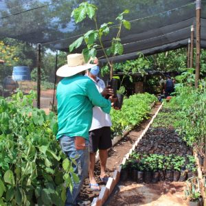 Viveiro Municipal disponibiliza mudas gratuitas e orientações sobre o uso correto da compostagem (3) Viveiro Municipal disponibiliza mudas gratuitas e orientações sobre o uso correto da compostagem (3)