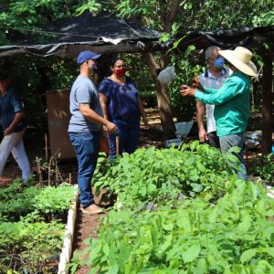 Viveiro Municipal disponibiliza mudas gratuitas e orientações sobre o uso correto da compostagem (4) Viveiro Municipal disponibiliza mudas gratuitas e orientações sobre o uso correto da compostagem (4)