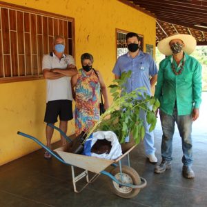 Viveiro Municipal disponibiliza mudas gratuitas e orientações sobre o uso correto da compostagem (5) Viveiro Municipal disponibiliza mudas gratuitas e orientações sobre o uso correto da compostagem (5)