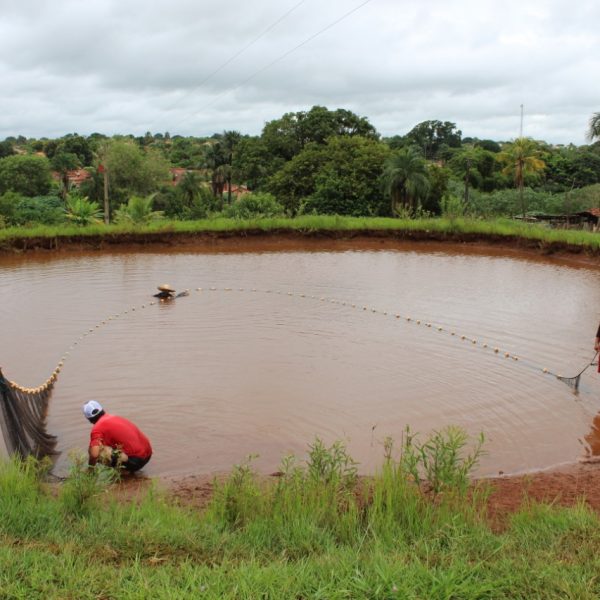 IMG-20210226-WA0016 IMG-20210226-WA0016