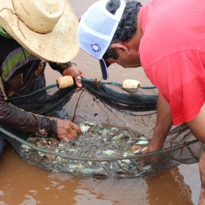 IMG-20210226-WA0018 IMG-20210226-WA0018