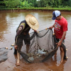 IMG-20210226-WA0022 IMG-20210226-WA0022