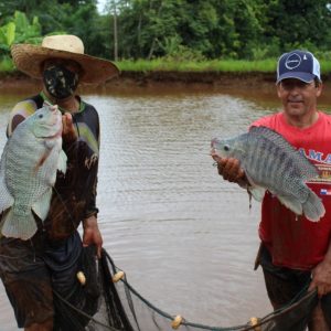 IMG-20210226-WA0025 IMG-20210226-WA0025