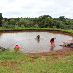 IMG-20210226-WA0029 IMG-20210226-WA0029