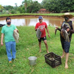 IMG-20210226-WA0030 IMG-20210226-WA0030