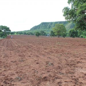 Prefeitura de Santa Vitória auxilia produtores rurais oferecendo tratores e implementos agrícolas (2) Prefeitura de Santa Vitória auxilia produtores rurais oferecendo tratores e implementos agrícolas (2)