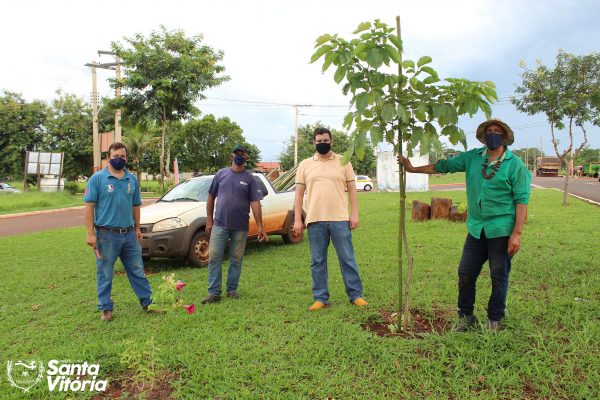 Prefeitura realiza plantio mudas de ipês em diversos pontos da cidade (7)