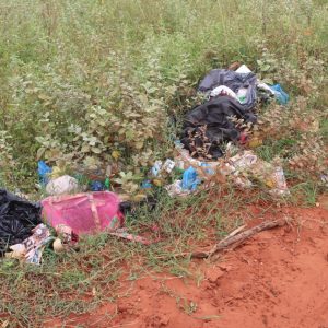 Prefeitura pede mais uma vez a colaboração da população para manter a cidade limpa (7) Prefeitura pede mais uma vez a colaboração da população para manter a cidade limpa (7)