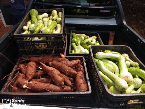 Secretaria Municipal de Agricultura faz balanço mensal das doações de verduras do mês de fevereiro (2)