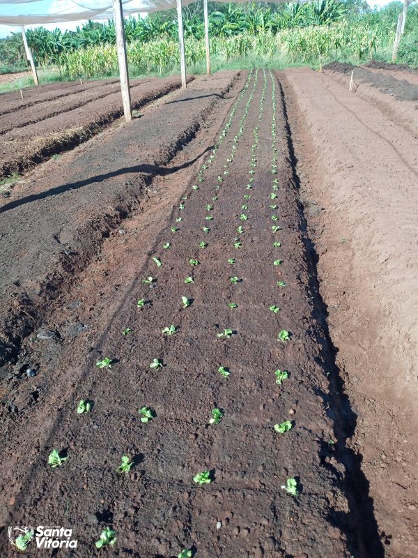 WhatsApp Image 2021-04-20 at 16.48.47 (1)