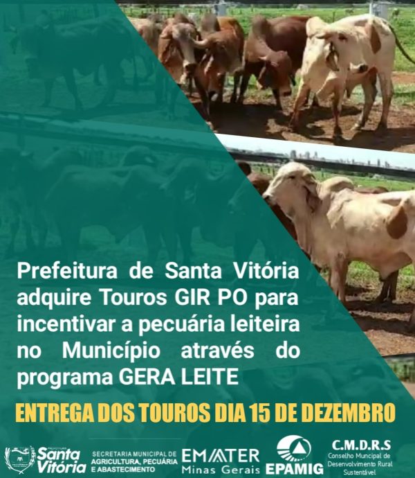 WhatsApp-Image-2021-12-14-at-16.57.31