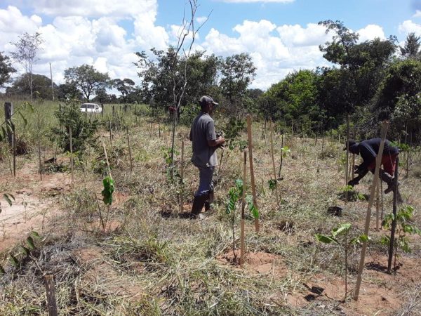 WhatsApp-Image-2022-04-01-at-09.02.46-1-1