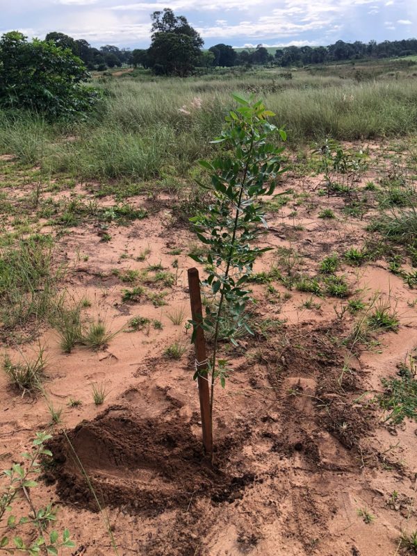 WhatsApp-Image-2023-01-26-at-10.21.21-1