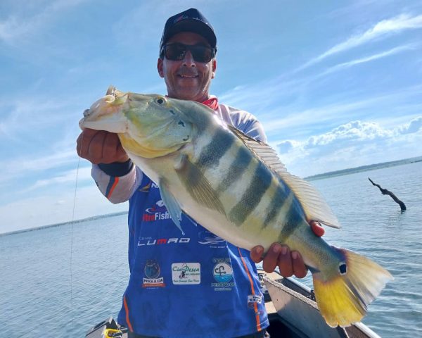 Imagem do WhatsApp de 2023-08-08 à(s) 09.43.26