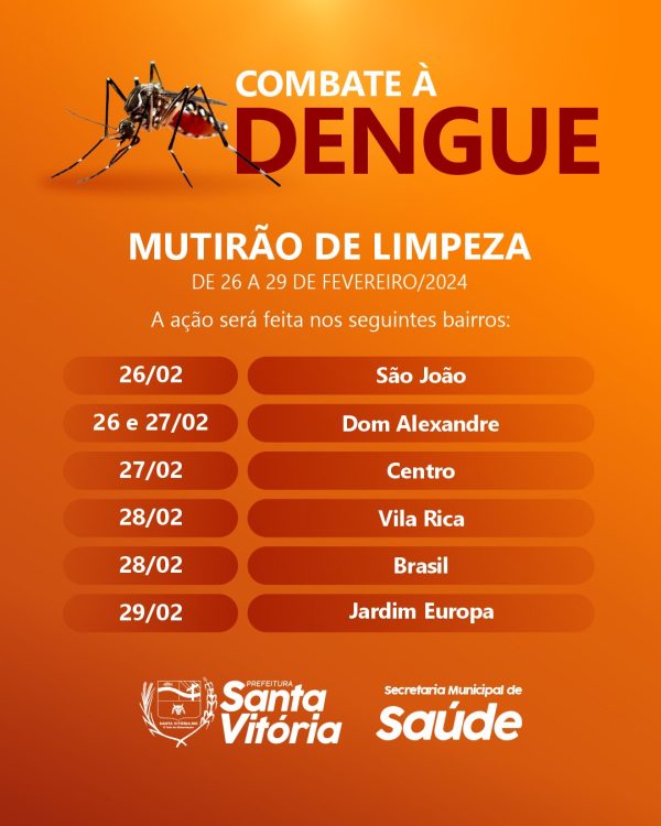 Dengue Mutirão