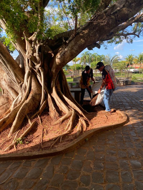 Imagem do WhatsApp de 2024-04-10 à(s) 15.28.46_441d2e11