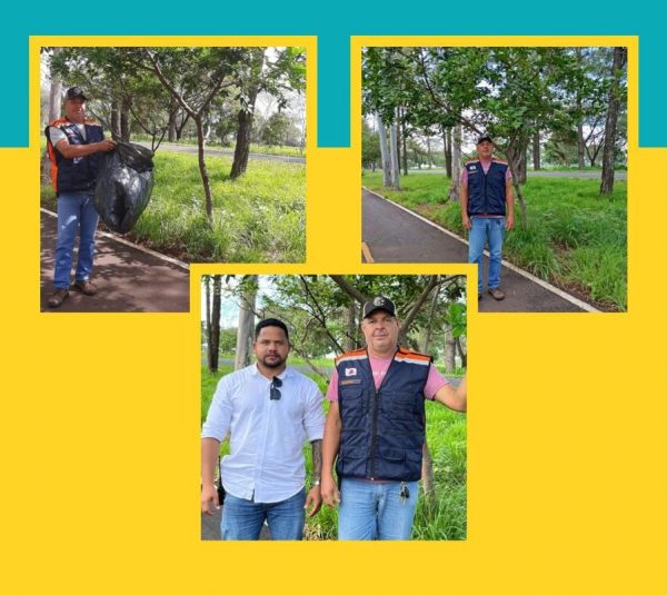 Captura de Maribondos em Santa Vitória